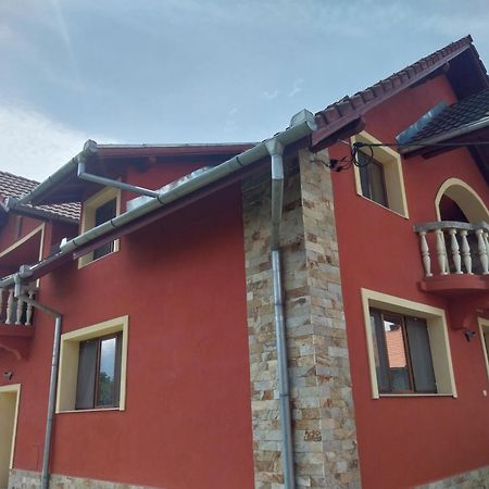 Serena House Cîrţişoara Εξωτερικό φωτογραφία