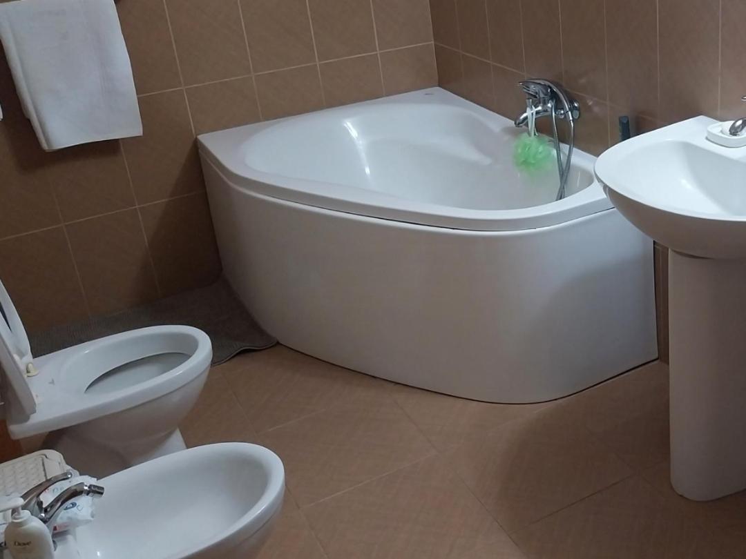 Serena House Cîrţişoara Εξωτερικό φωτογραφία
