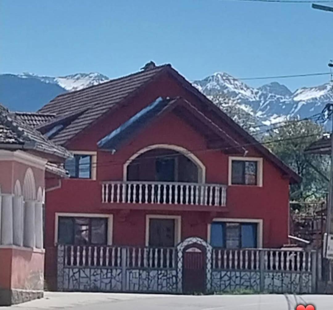 Serena House Cîrţişoara Εξωτερικό φωτογραφία